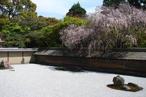 日本留学：出勤率低于70％签证将被取消