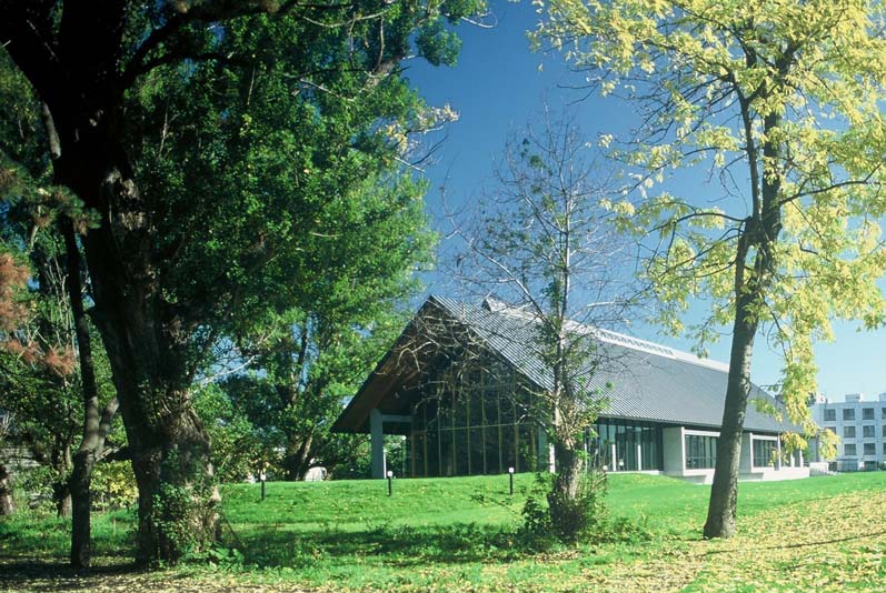 北海道大学：对98%的留学生提供学费减免