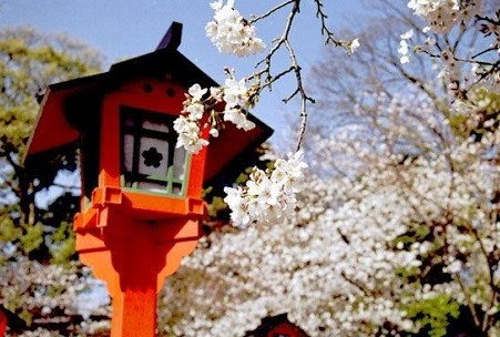 细说高中生去日本语言学校留学费用