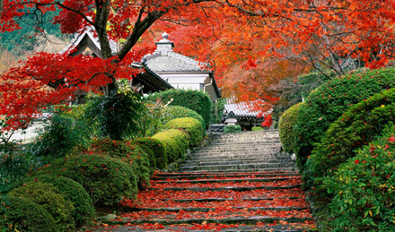 留学日本怎样过春节