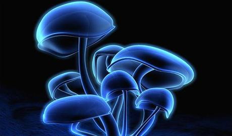 新加坡南洋理工大学化学与生物化学系