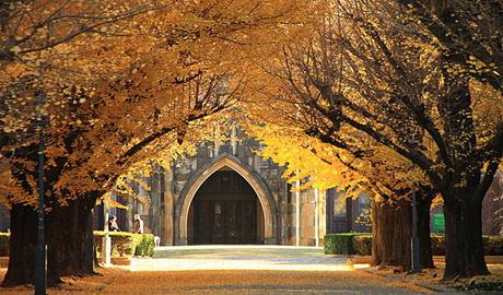 东京大学自费留学生奖学金