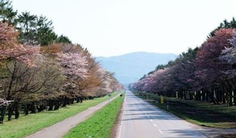 日本九州国际大学院校介绍