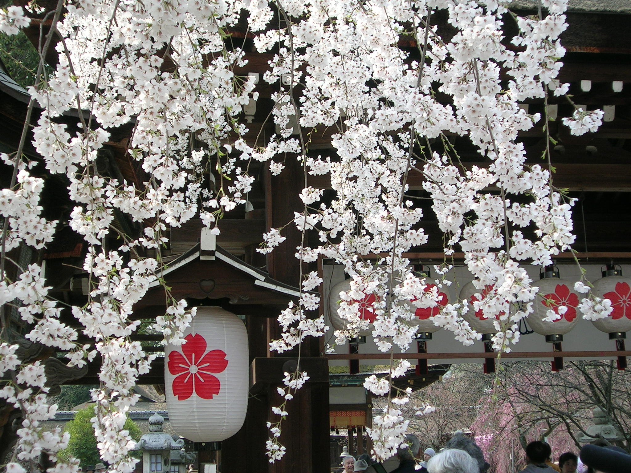 2015日本留学不同类型学校的学费汇总