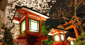 日本留学，不同层次学历的申请攻略