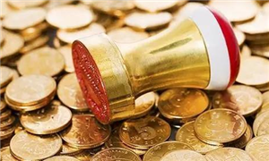 翻案：加拿大拒签资金问题下功夫