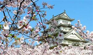 日本留学，读语言学校，你可以学到的不止语言