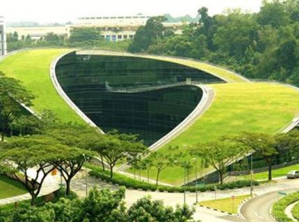新加坡南洋理工大学办学模式如何