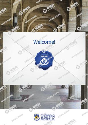 柳橙网成功案列offer展示