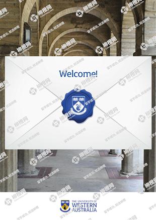 柳橙网成功案列offer展示
