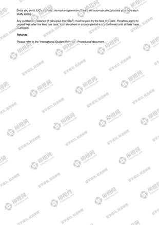 柳橙网成功案列offer展示