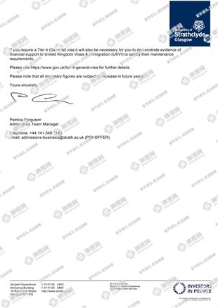 柳橙网成功案列offer展示