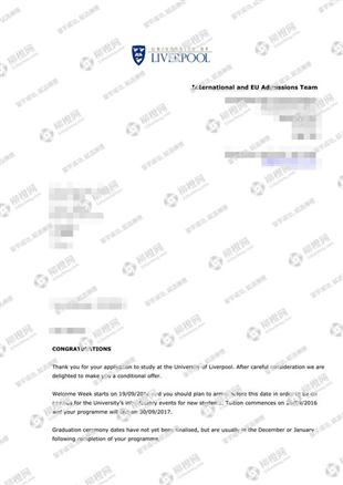 柳橙网成功案列offer展示