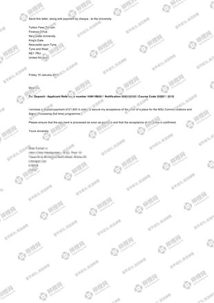 柳橙网成功案列offer展示