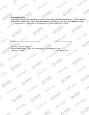 柳橙网成功案列offer展示