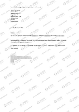 柳橙网成功案列offer展示