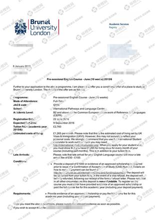柳橙网成功案列offer展示