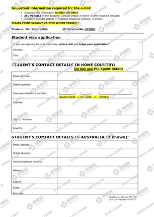 柳橙网成功案列offer展示
