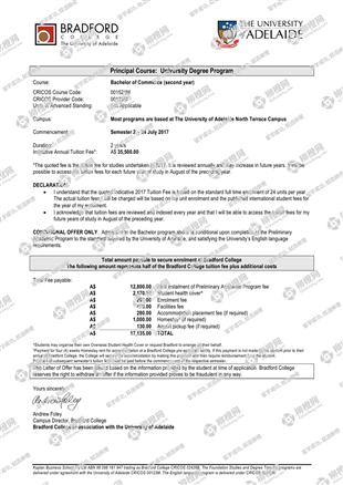 柳橙网成功案列offer展示