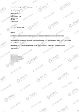 柳橙网成功案列offer展示