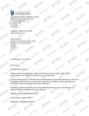 柳橙网成功案列offer展示