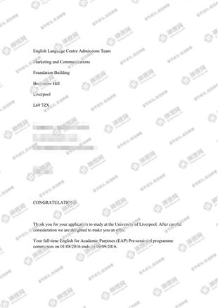 柳橙网成功案列offer展示