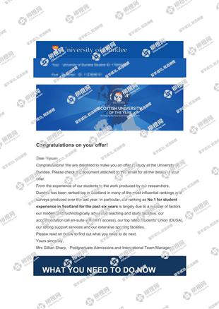 柳橙网成功案列offer展示