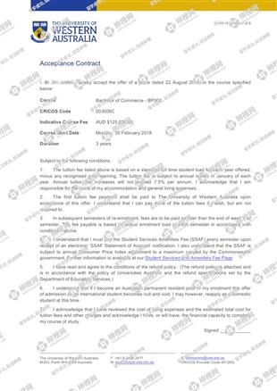 柳橙网成功案列offer展示