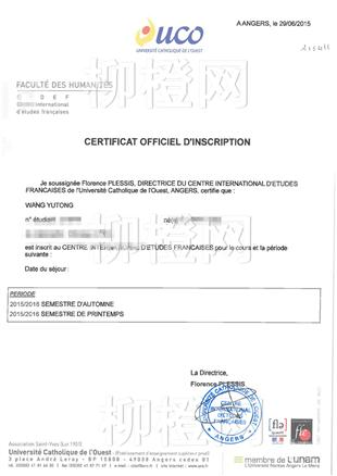 柳橙网成功案列offer展示