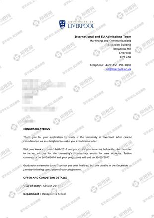 柳橙网成功案列offer展示