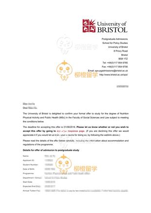 柳橙网成功案列offer展示