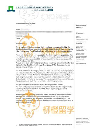柳橙网成功案列offer展示