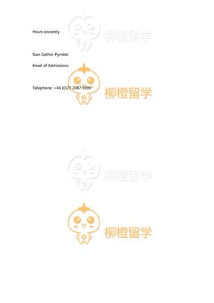 柳橙网成功案列offer展示