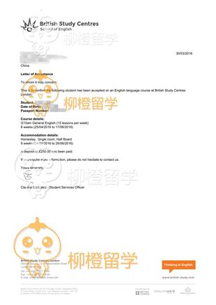 柳橙网成功案列offer展示