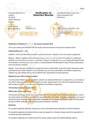 柳橙网成功案列offer展示