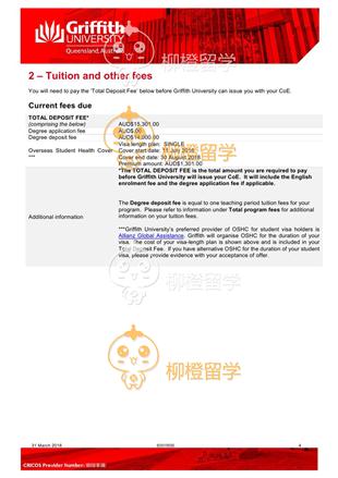 柳橙网成功案列offer展示