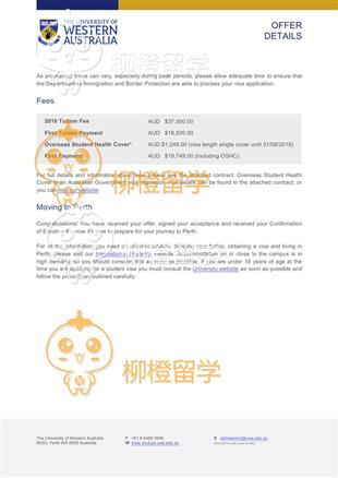 柳橙网成功案列offer展示