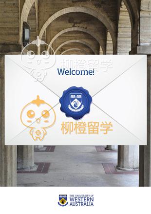 柳橙网成功案列offer展示