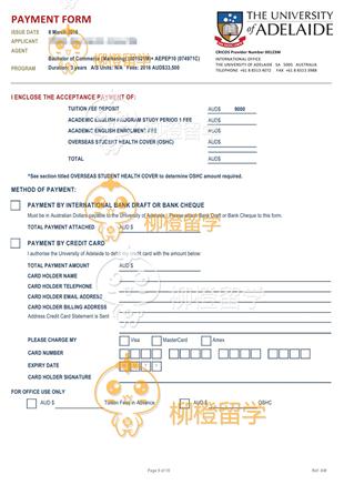 柳橙网成功案列offer展示