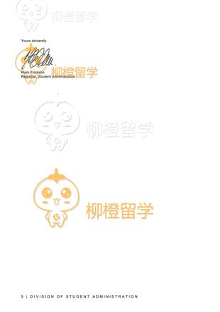 柳橙网成功案列offer展示