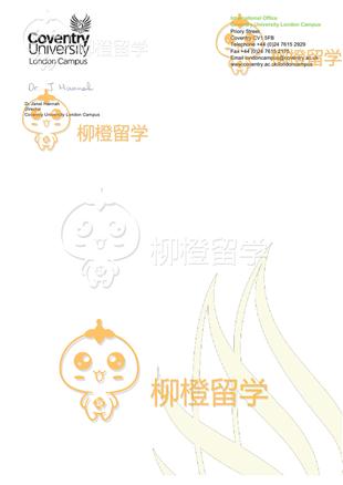 柳橙网成功案列offer展示