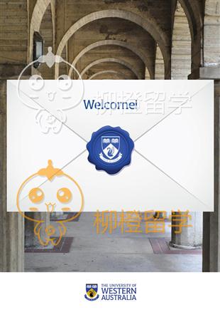 柳橙网成功案列offer展示