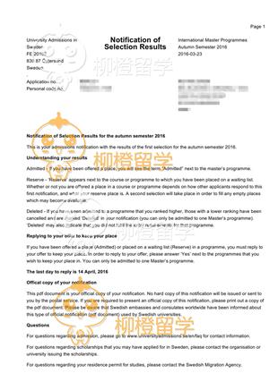 柳橙网成功案列offer展示