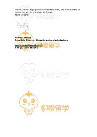 柳橙网成功案列offer展示