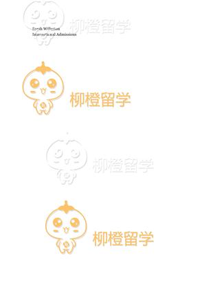 柳橙网成功案列offer展示