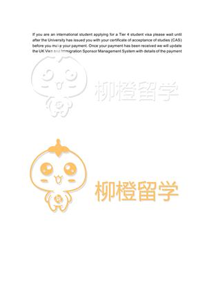 柳橙网成功案列offer展示
