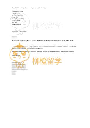 柳橙网成功案列offer展示