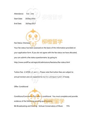 柳橙网成功案列offer展示