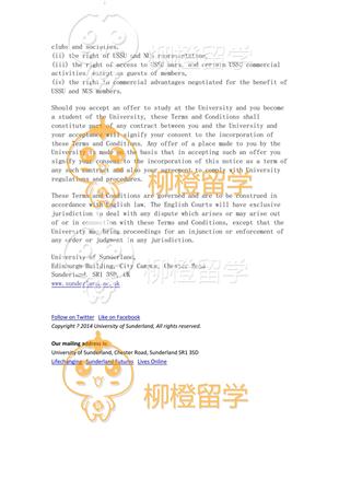 柳橙网成功案列offer展示