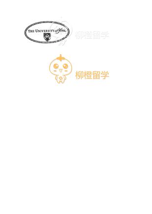 柳橙网成功案列offer展示
